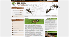 Desktop Screenshot of formicidaebol.org